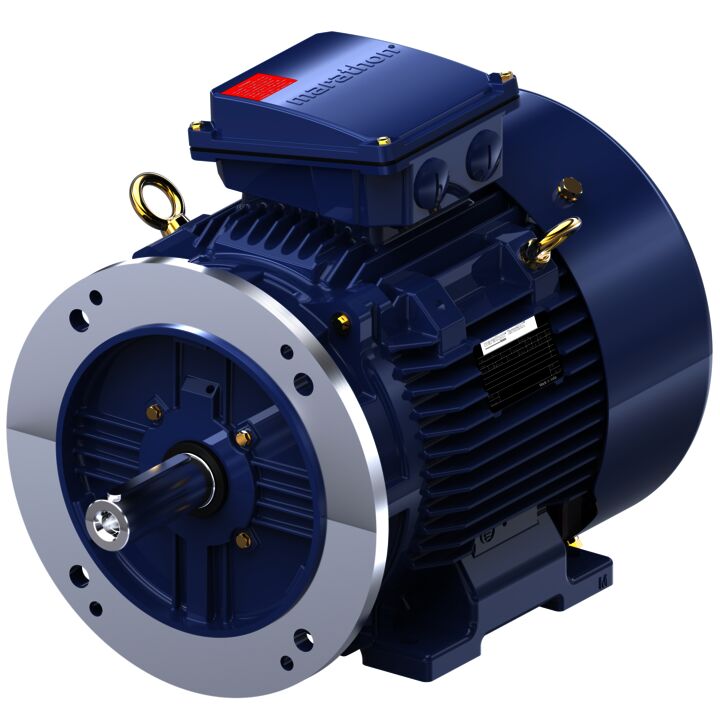 Cast Iron Motor, 15 & 10 HP, 3 Ph, 60 & 50 Hz, 230/460 & 200/400 V, 3600 & 3000 RPM, 160M Frame, TEFC