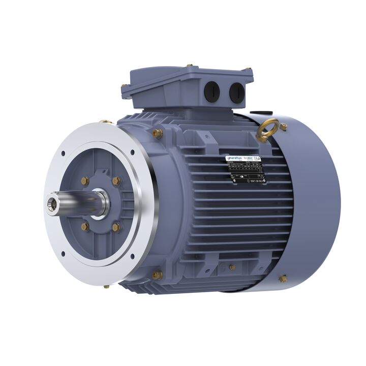 Cast Iron Motor, 20 HP, 3 Ph, 50 Hz, 380 V, 3000 RPM, 160M Frame, TEFC