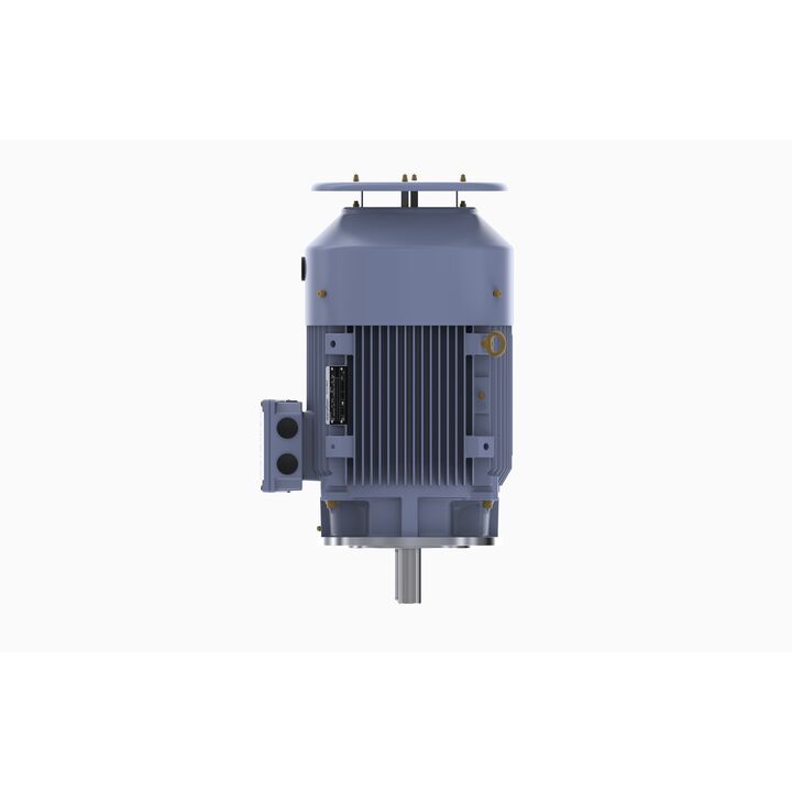 Cast Iron Motor, 15 HP, 3 Ph, 50 Hz, 400 V, 750 RPM, 180L Frame, TEFC