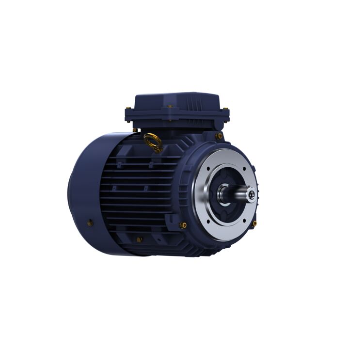 Cast Iron Motor, 4 HP, 3 Ph, 50 Hz, 380 V, 1500 RPM, 100L Frame, TEFC