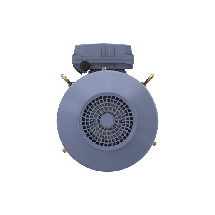 Cast Iron Motor, 5.50 HP, 3 Ph, 50 Hz, 380 V, 1500 RPM, 112M Frame, TEFC