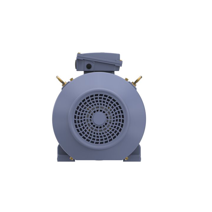 Cast Iron Motor, 15 HP, 3 Ph, 50 Hz, 400 V, 750 RPM, 180L Frame, TEFC