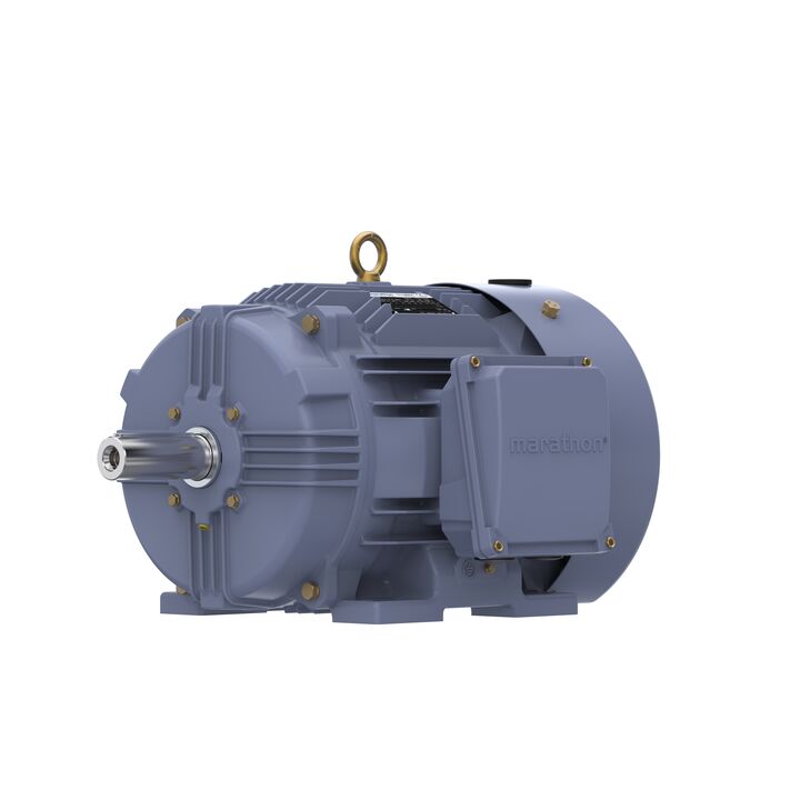 Cast Iron Motor, 5.50 HP, 3 Ph, 50 Hz, 380 V, 750 RPM, 160M Frame, TEFC