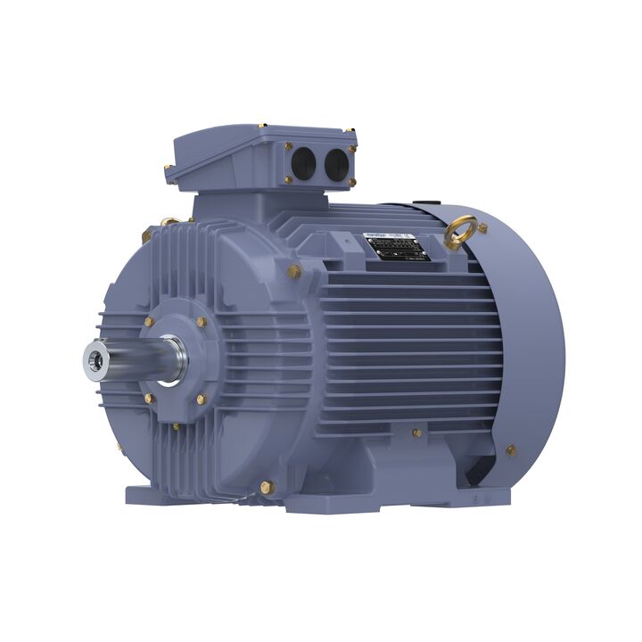Cast Iron Motor, 50 HP, 3 Ph, 50 Hz, 380 V, 1500 RPM, 225S Frame, TEFC