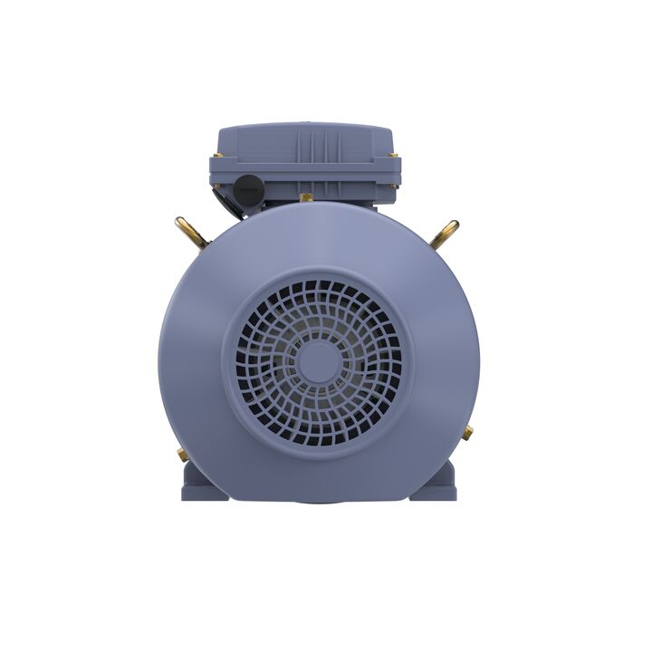 Cast Iron Motor, 5.50 HP, 3 Ph, 50 Hz, 380 V, 1500 RPM, 112M Frame, TEFC