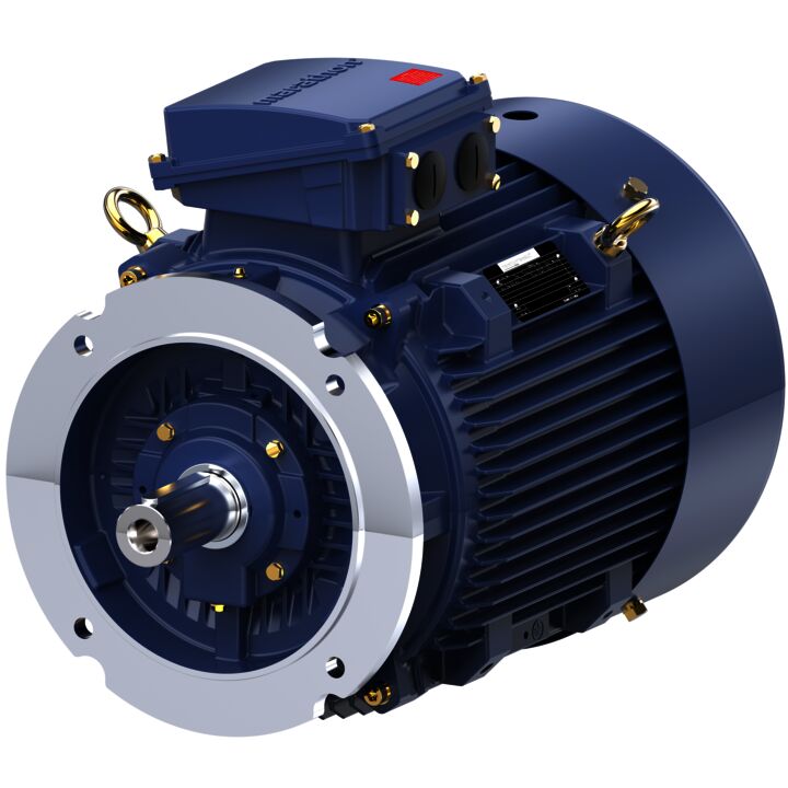 Cast Iron Motor, 40 HP, 3 Ph, 50 Hz, 400 V, 1500 RPM, 200L Frame, TEFC