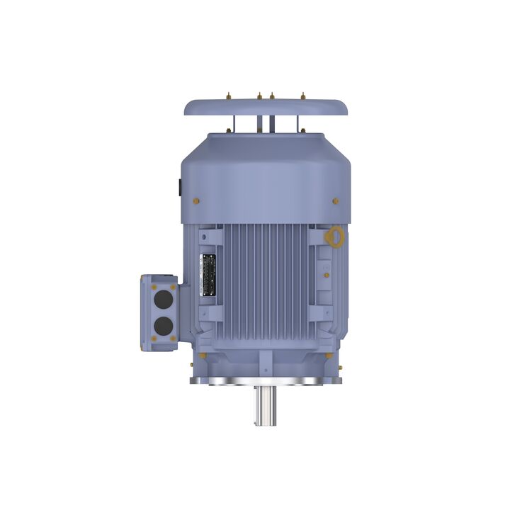 Cast Iron Motor, 50 HP, 3 Ph, 50 Hz, 380 V, 3000 RPM, 200L Frame, TEFC
