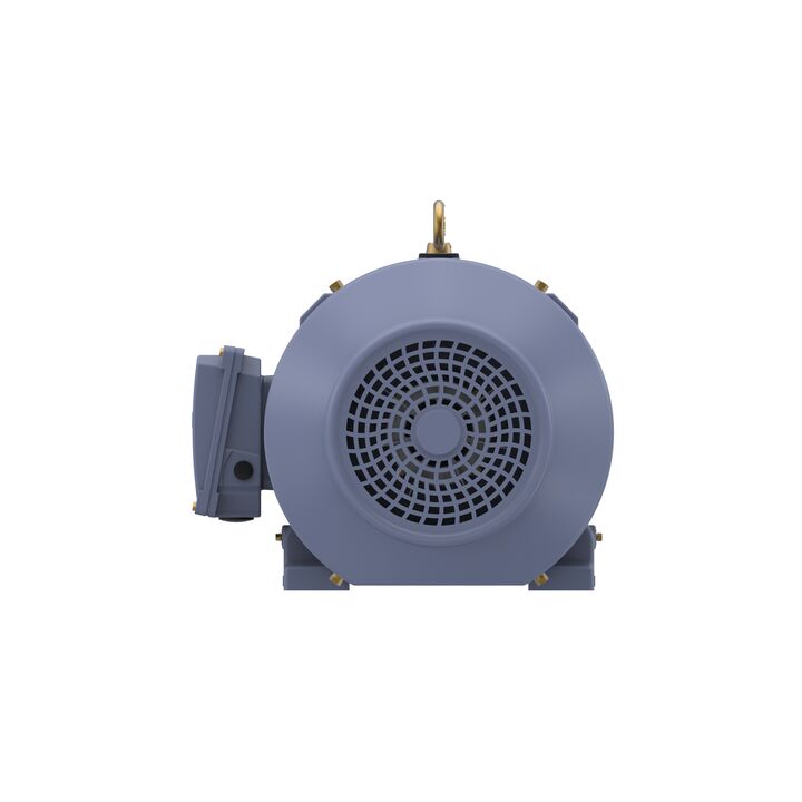 Cast Iron Motor, 15 HP, 3 Ph, 50 Hz, 400 V, 750 RPM, 180L Frame, TEFC