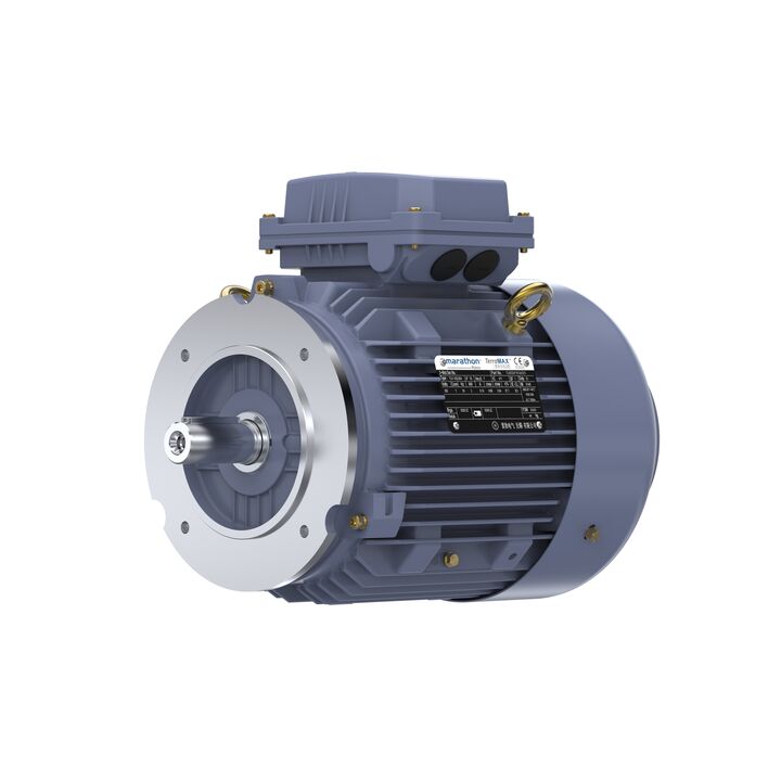 Cast Iron Motor, 4 HP, 3 Ph, 50 Hz, 380 V, 3000 RPM, 100L Frame, TEFC