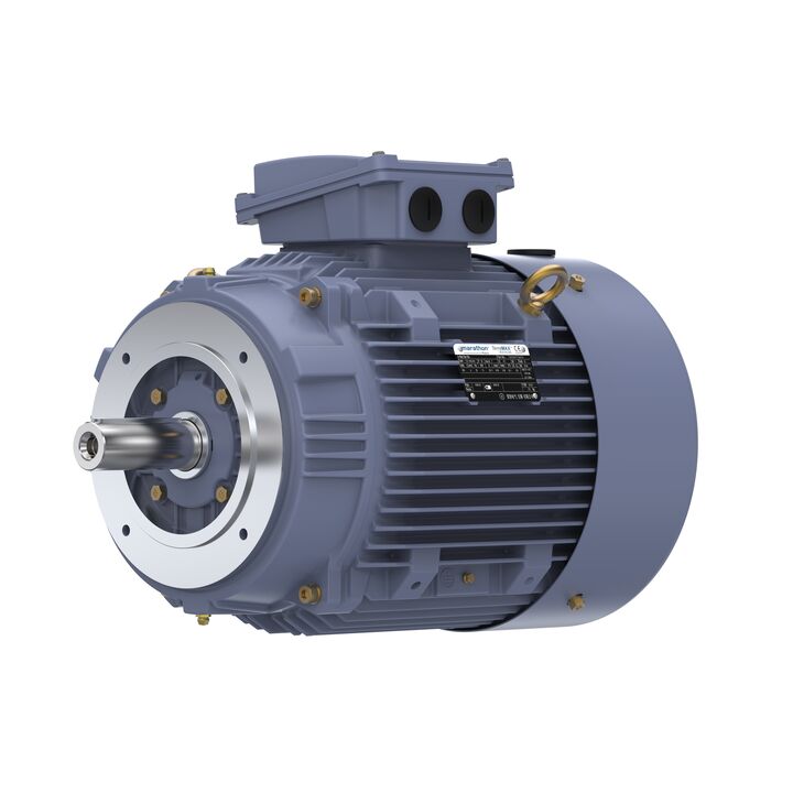 Cast Iron Motor, 20 HP, 3 Ph, 50 Hz, 380 V, 3000 RPM, 160M Frame, TEFC