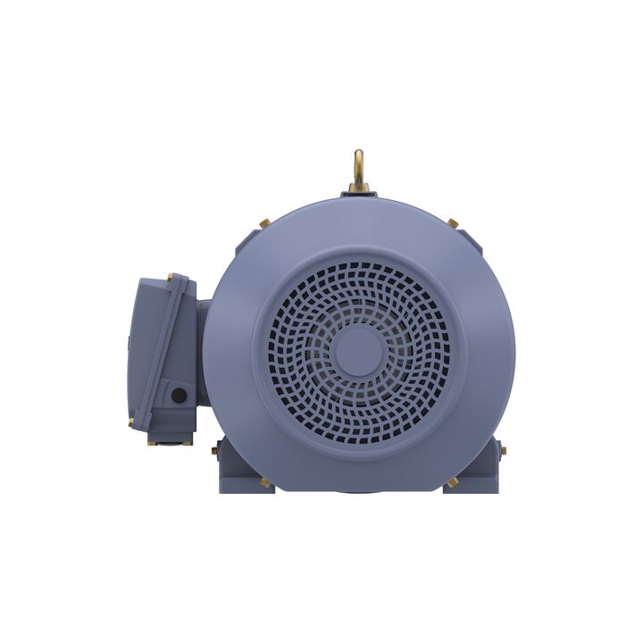 Cast Iron Motor, 40 HP, 3 Ph, 50 Hz, 380 V, 1500 RPM, 200L Frame, TEFC