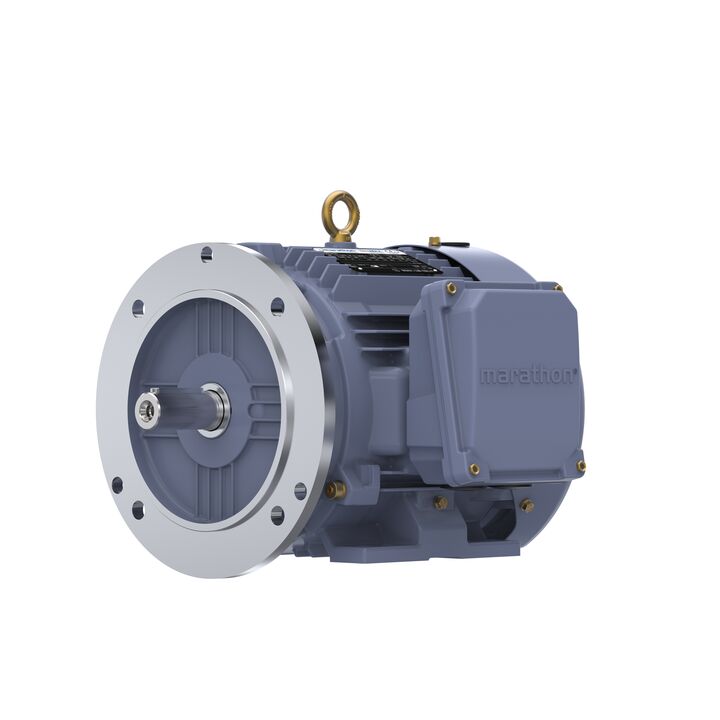 Cast Iron Motor, 5.50 HP, 3 Ph, 50 Hz, 380 V, 3000 RPM, 112M Frame, TEFC