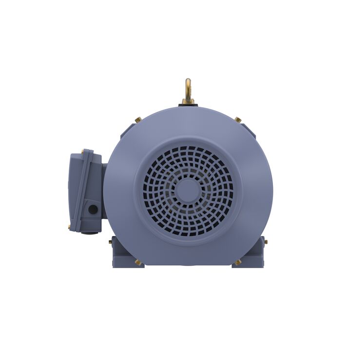 Cast Iron Motor, 15 HP, 3 Ph, 50 Hz, 400 V, 750 RPM, 180L Frame, TEFC