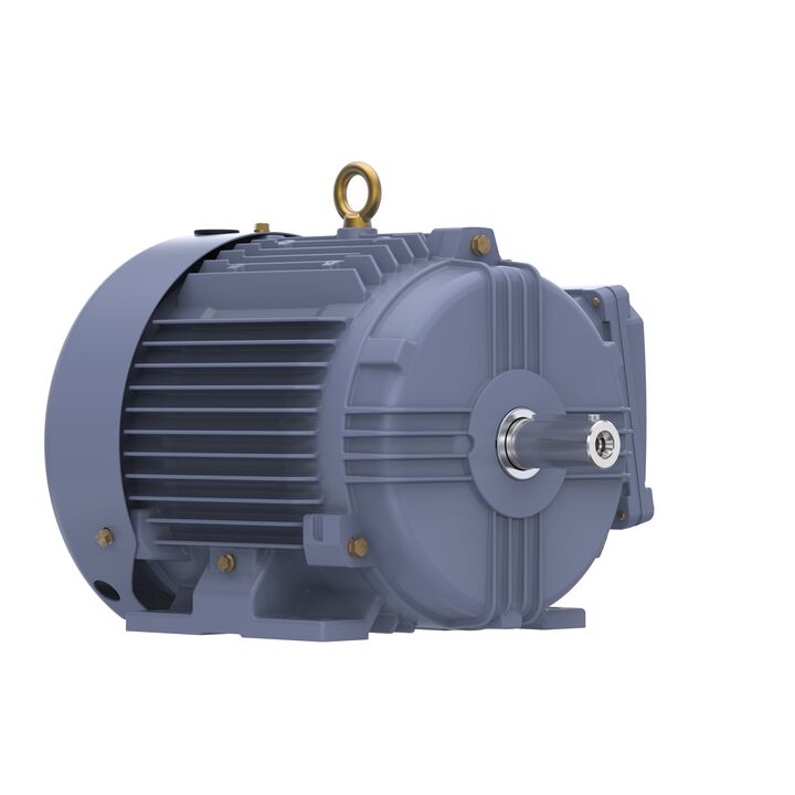 Cast Iron Motor, 5.50 HP, 3 Ph, 50 Hz, 380 V, 1500 RPM, 112M Frame, TEFC