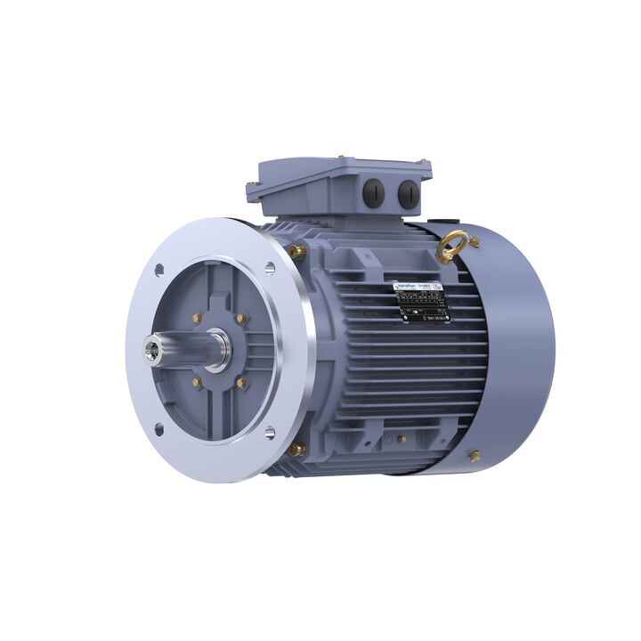 Cast Iron Motor, 15 HP, 3 Ph, 50 Hz, 380 V, 3000 RPM, 160M Frame, TEFC