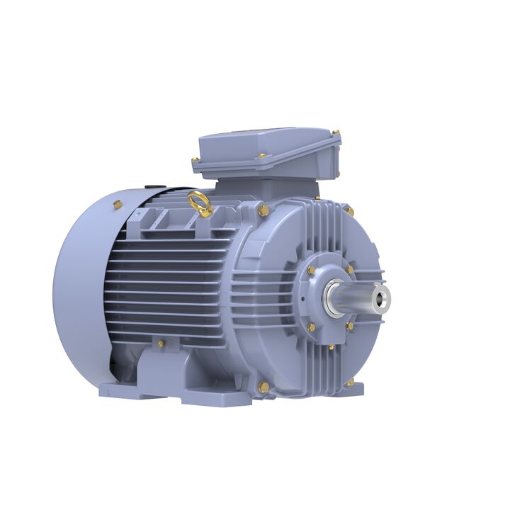 Cast Iron Motor, 40 HP, 3 Ph, 50 Hz, 380 V, 1500 RPM, 200L Frame, TEFC