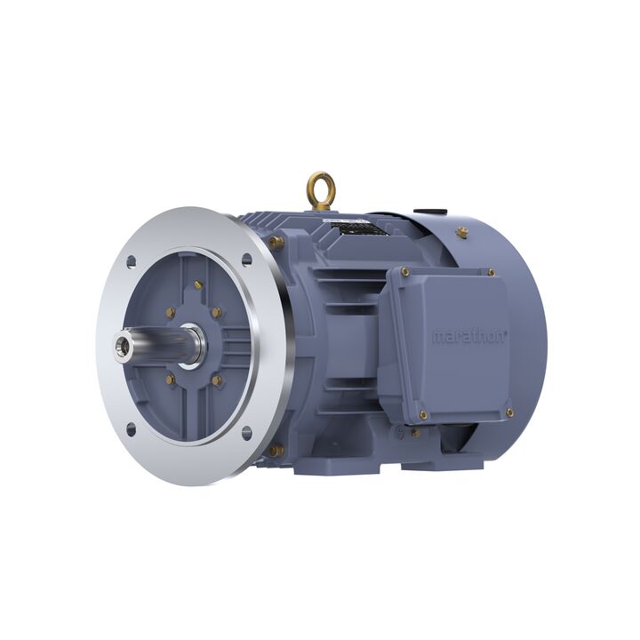 Cast Iron Motor, 20 HP, 3 Ph, 50 Hz, 380 V, 3000 RPM, 160M Frame, TEFC