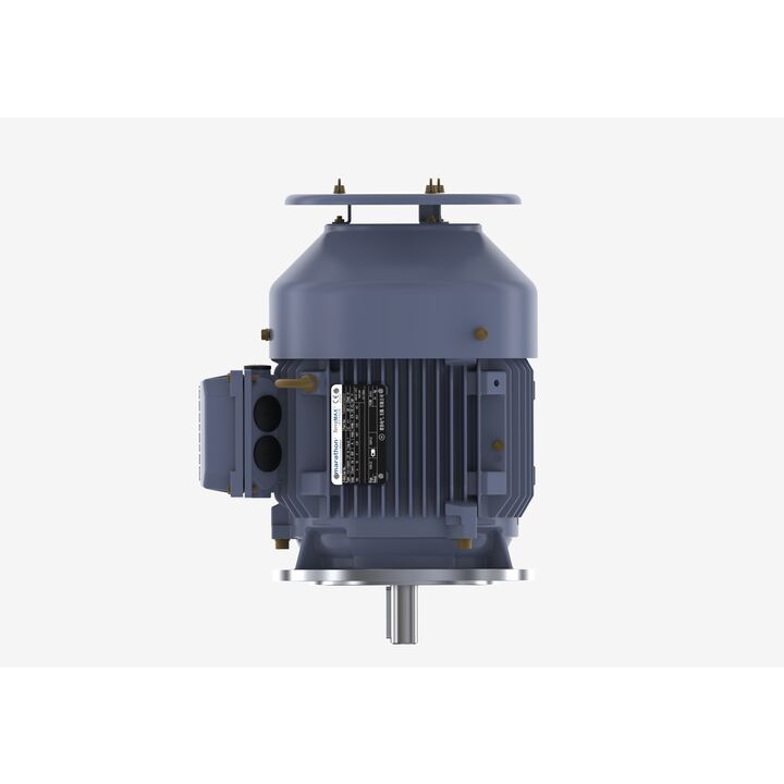 Cast Iron Motor, 5.50 HP, 3 Ph, 50 Hz, 380 V, 1500 RPM, 112M Frame, TEFC