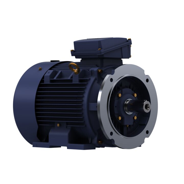 Cast Iron Motor, 40 HP, 3 Ph, 50 Hz, 380 V, 1500 RPM, 200L Frame, TEFC