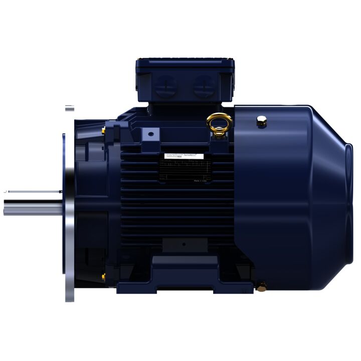 Cast Iron Motor, 15 & 10 HP, 3 Ph, 60 & 50 Hz, 230/460 & 200/400 V, 3600 & 3000 RPM, 160M Frame, TEFC