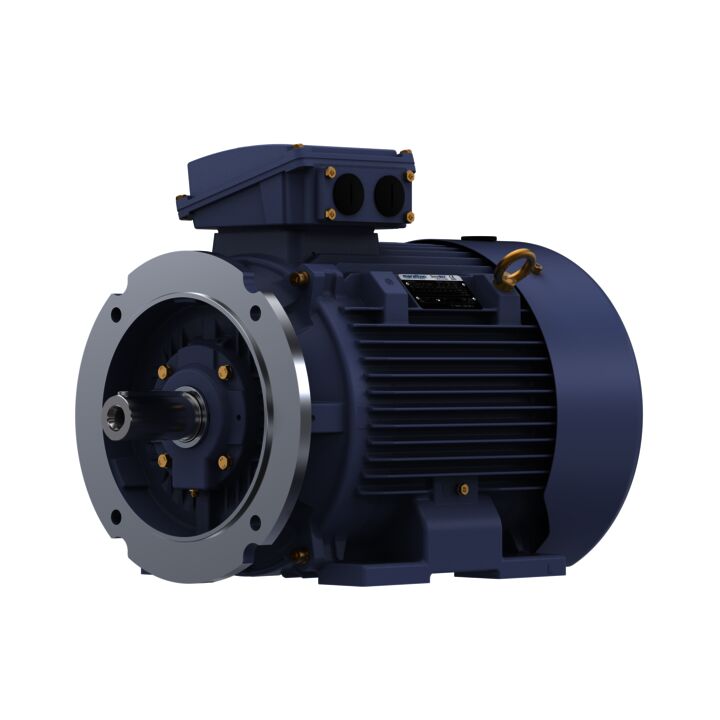 Cast Iron Motor, 40 HP, 3 Ph, 50 Hz, 380 V, 1500 RPM, 200L Frame, TEFC