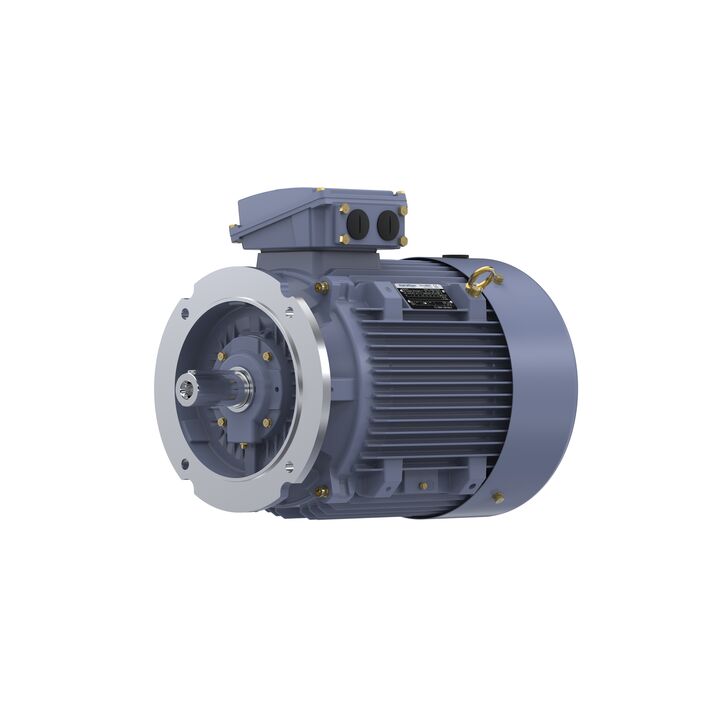 Cast Iron Motor, 40 HP, 3 Ph, 50 Hz, 380 V, 1500 RPM, 200L Frame, TEFC