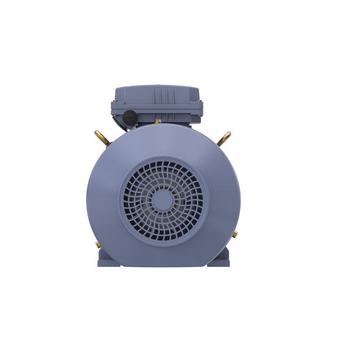 Cast Iron Motor, 5.50 HP, 3 Ph, 50 Hz, 380 V, 1500 RPM, 112M Frame, TEFC