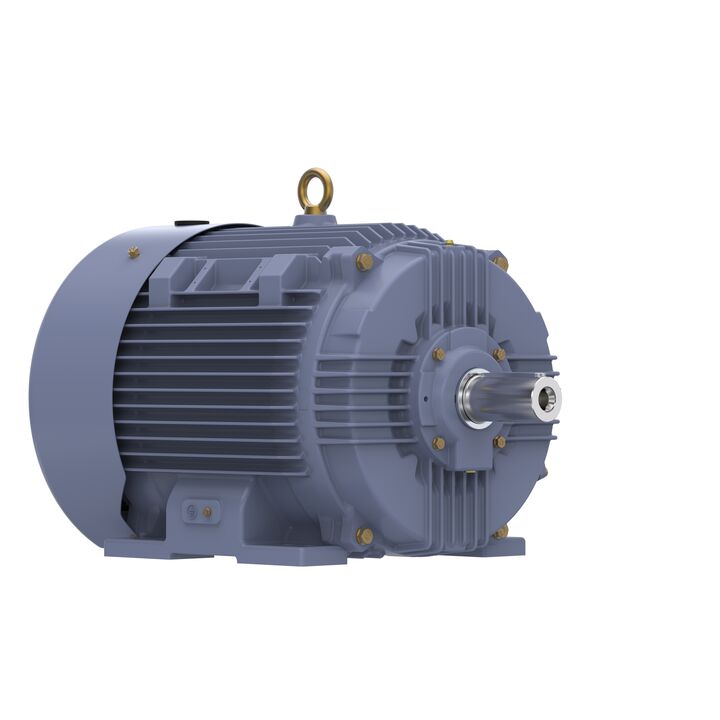 Cast Iron Motor, 40 HP, 3 Ph, 50 Hz, 380 V, 1500 RPM, 200L Frame, TEFC