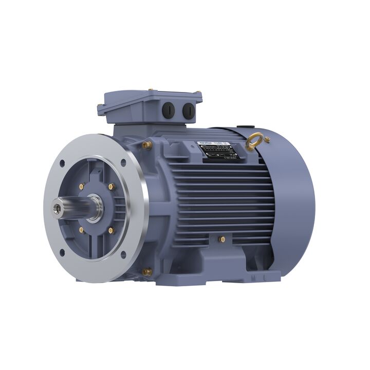Cast Iron Motor, 15 HP, 3 Ph, 50 Hz, 380 V, 750 RPM, 180L Frame, TEFC