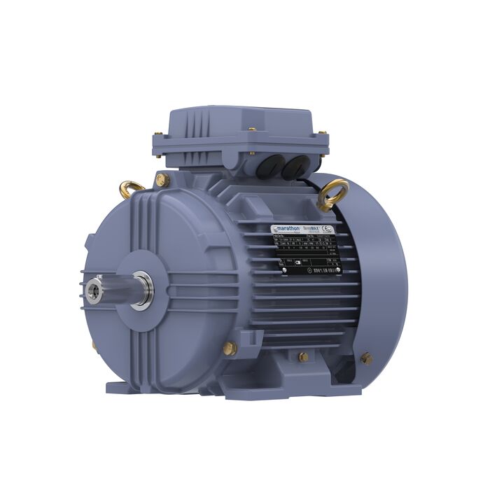 Cast Iron Motor, 5.50 HP, 3 Ph, 50 Hz, 380 V, 3000 RPM, 112M Frame, TEFC