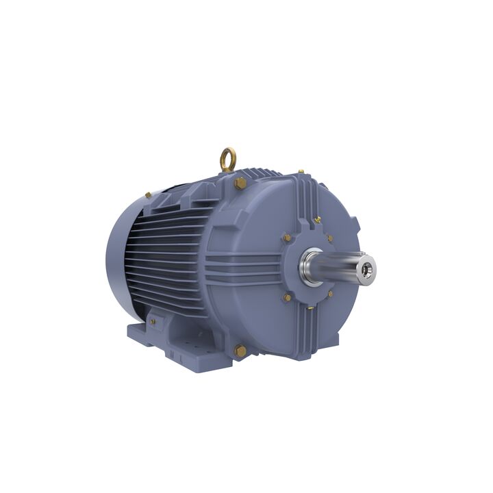 Cast Iron Motor, 15 HP, 3 Ph, 50 Hz, 400 V, 750 RPM, 180L Frame, TEFC
