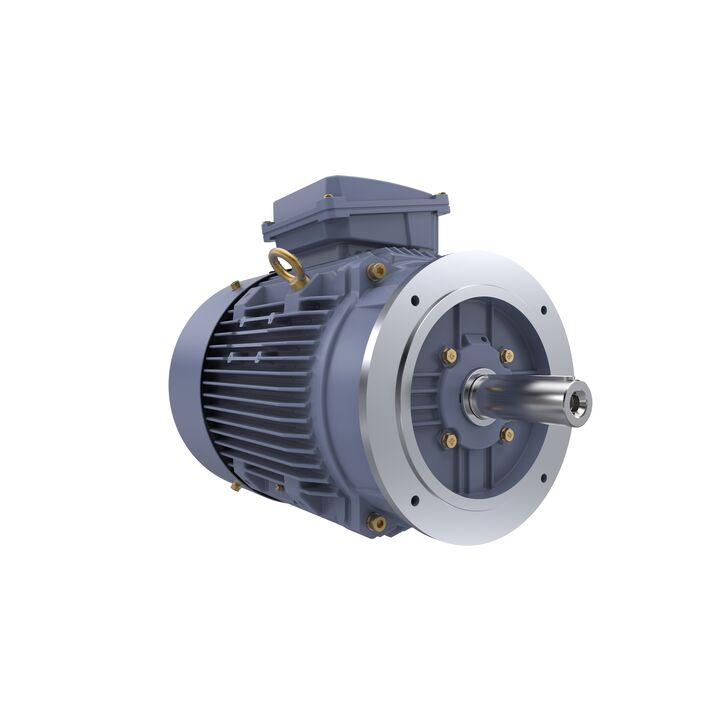 Cast Iron Motor, 15 HP, 3 Ph, 50 Hz, 400 V, 1000 RPM, 160L Frame, TEFC