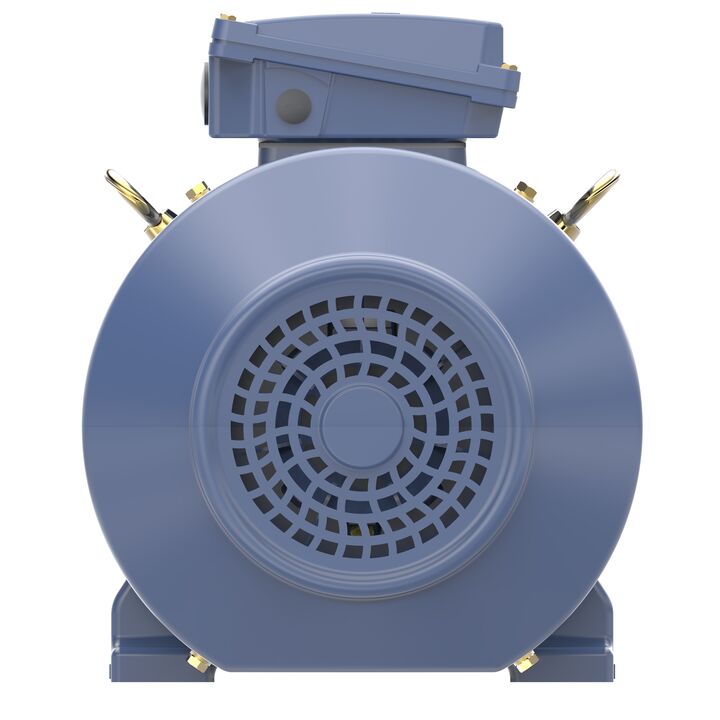 Cast Iron Motor, 15 HP, 3 Ph, 50 Hz, 400 V, 1500 RPM, 160M Frame, TEFC