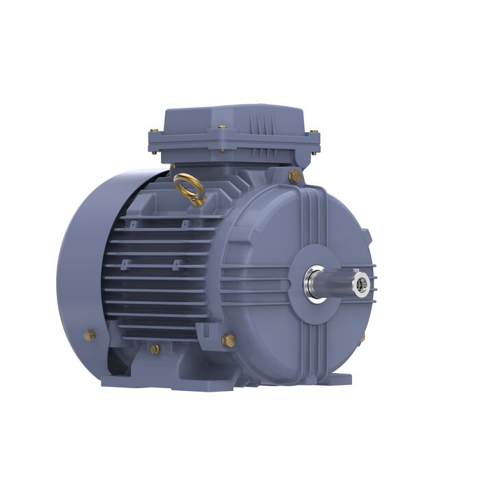 Cast Iron Motor, 5.50 HP, 3 Ph, 50 Hz, 380 V, 1500 RPM, 112M Frame, TEFC