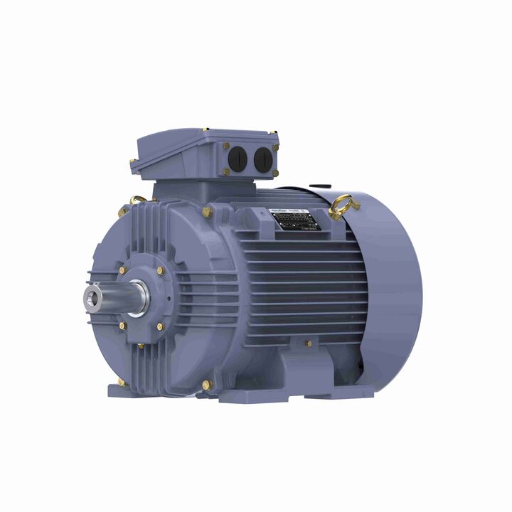 Cast Iron Motor, 50 HP, 3 Ph, 50 Hz, 380 V, 3000 RPM, 200L Frame, TEFC