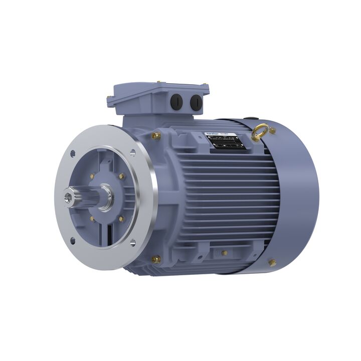 Cast Iron Motor, 25 HP, 3 Ph, 50 Hz, 400 V, 1500 RPM, 180M Frame, TEFC