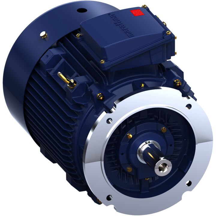 Cast Iron Motor, 40 HP, 3 Ph, 50 Hz, 400 V, 1500 RPM, 200L Frame, TEFC