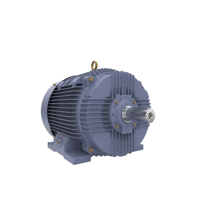 Cast Iron Motor, 50 HP, 3 Ph, 50 Hz, 415 V, 250M Frame