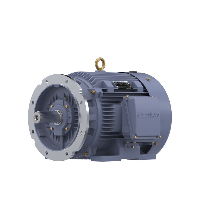 Cast Iron Motor, 40 HP, 3 Ph, 50 Hz, 380 V, 1000 RPM, 225M Frame, TEFC