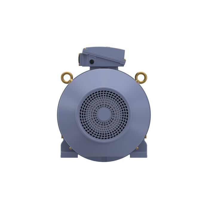 Cast Iron Motor, 50 HP, 3 Ph, 50 Hz, 400 V, 1000 RPM, 250M Frame, TEFC