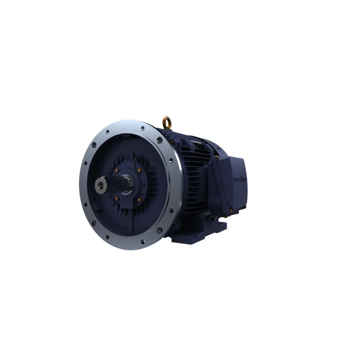 Cast Iron Motor, 40 HP, 3 Ph, 50 Hz, 415 V, 1000 RPM, 225M Frame, TEFC