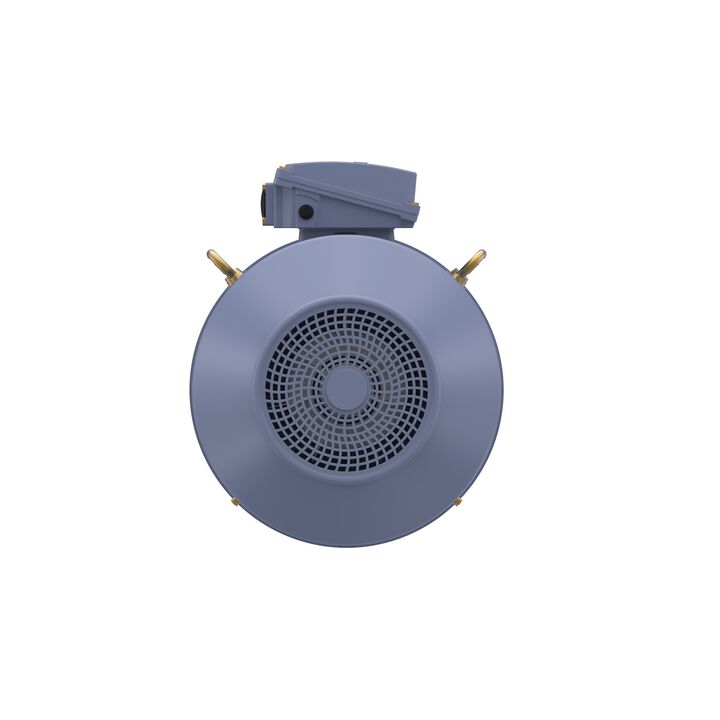 Cast Iron Motor, 40 HP, 3 Ph, 50 Hz, 415 V, 250M Frame