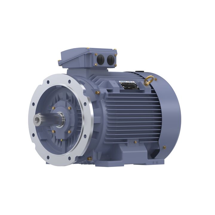 Cast Iron Motor, 40 HP, 3 Ph, 50 Hz, 380 V, 1000 RPM, 225M Frame, TEFC