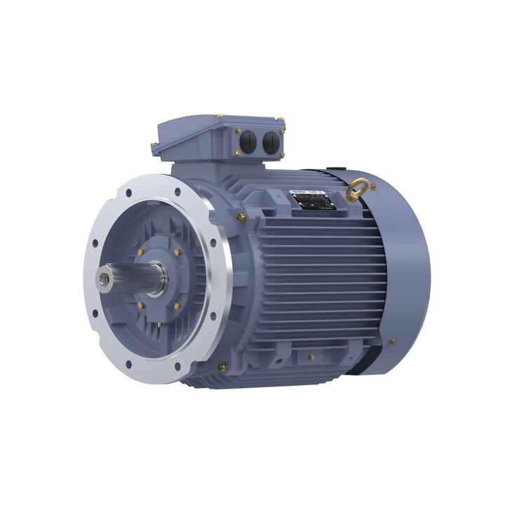 Cast Iron Motor, 40 HP, 3 Ph, 50 Hz, 380 V, 1000 RPM, 225M Frame, TEFC
