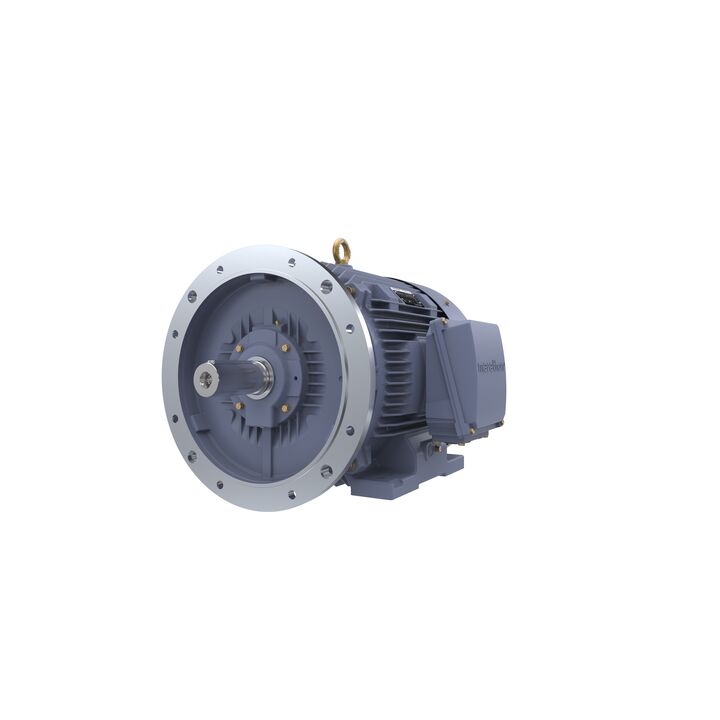 Cast Iron Motor, 40 HP, 3 Ph, 50 Hz, 400 V, 750 RPM, 250M Frame, TEFC