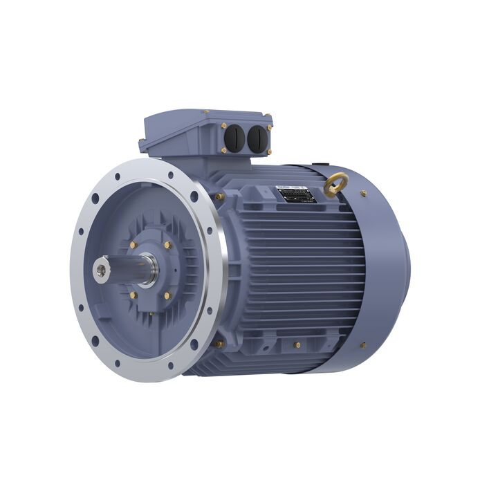 Cast Iron Motor, 40 HP, 3 Ph, 50 Hz, 380 V, 750 RPM, 250M Frame, TEFC