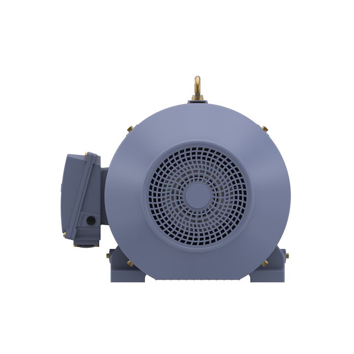 Cast Iron Motor, 50 HP, 3 Ph, 50 Hz, 415 V, 250M Frame