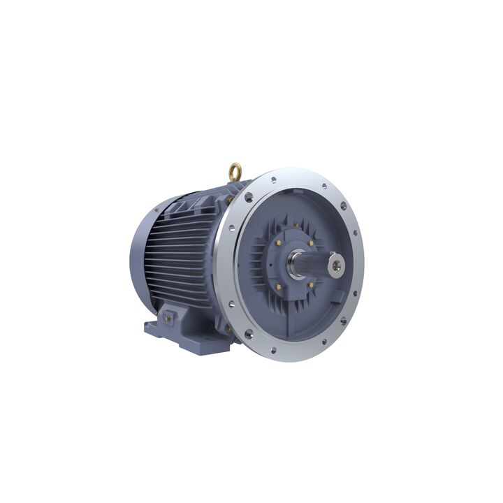 Cast Iron Motor, 40 HP, 3 Ph, 50 Hz, 415 V, 250M Frame