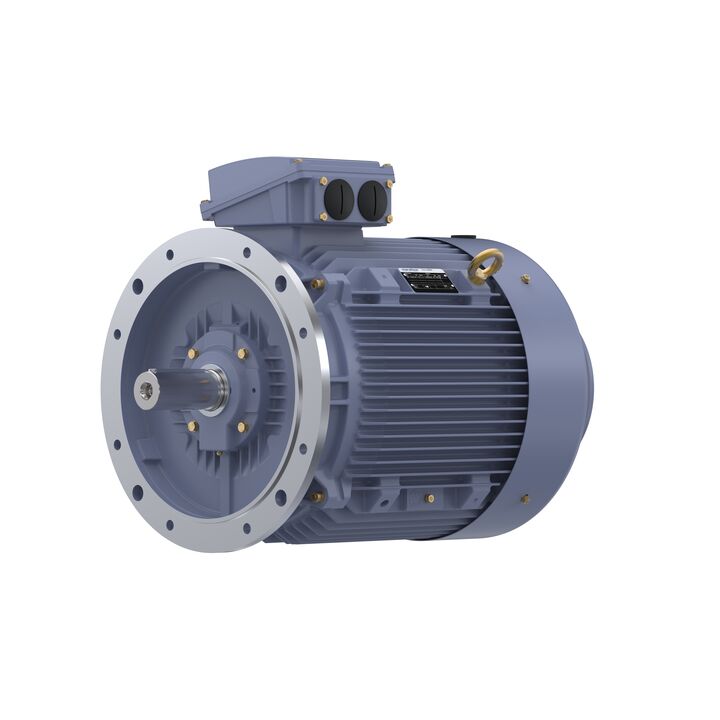Cast Iron Motor, 50 HP, 3 Ph, 50 Hz, 415 V, 200L Frame