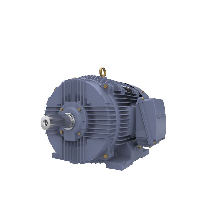 Cast Iron Motor, 50 HP, 3 Ph, 50 Hz, 415 V, 200L Frame